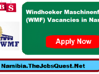 WMF Vacancies