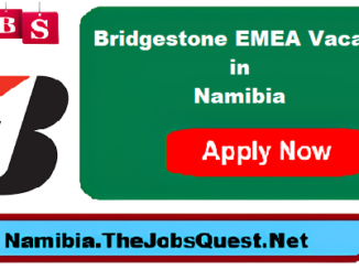 Bridgestone EMEA Vacancies