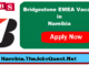 Bridgestone EMEA Vacancies