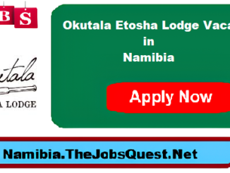 Okutala Etosha Lodge Vacancies