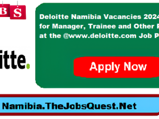 Deloitte Namibia Vacancies