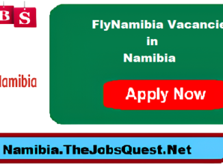 FlyNamibia Vacancies