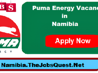 Puma Energy Vacancies