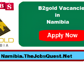 B2gold Vacancies