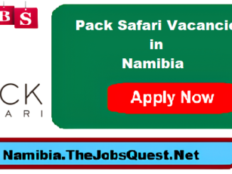 Pack Safari Vacancies