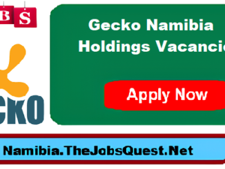 Gecko Namibia Holdings Vacancies