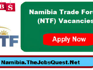 NTF Vacancies