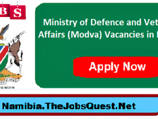 Modva Vacancies