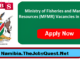 MFMR Vacancies