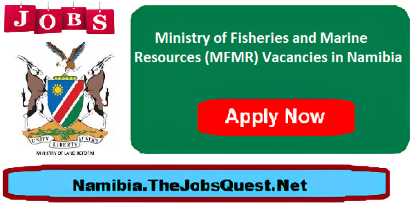 MFMR Vacancies