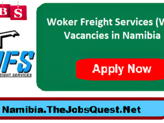 WFS Namibia Vacancies