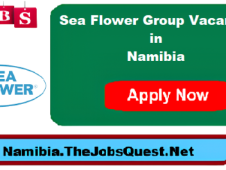 Sea Flower Group Vacancies