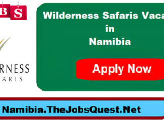 Wilderness Safaris Vacancies