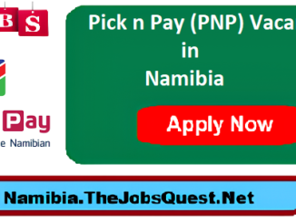 Pick n Pay Vacancies