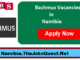 Bachmus Vacancies