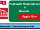 Pupkewitz Megatech Vacancies