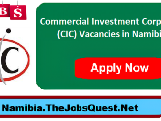 CIC Vacancies