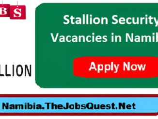 Stallion Security Vacancies