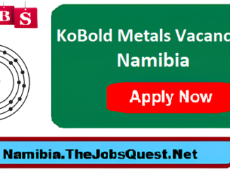 KoBold Metals Vacancies