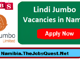 Lindi Jumbo Vacancies