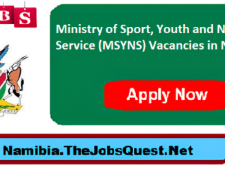 MSYNS Vacancies