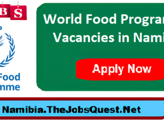 WFP Vacancies