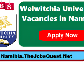 Welwitchia University Vacancies