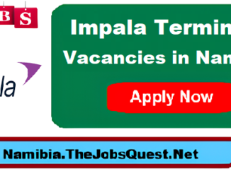 Impala Terminals Vacancies