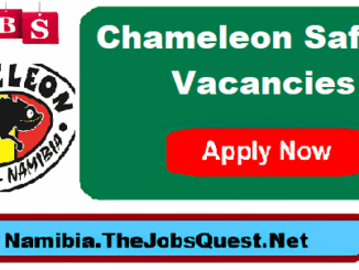 Chameleon Safaris Vacancies
