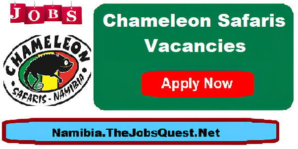 Chameleon Safaris Vacancies Chameleon Safaris Vacancies