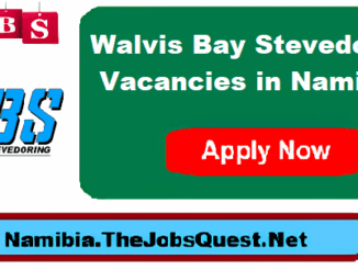 Walvis Bay Stevedoring Vacancies