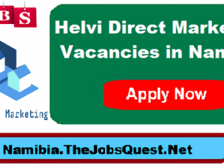 Helvi Direct Marketing Vacancies
