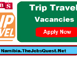Trip Travel Vacancies