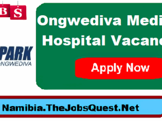 Ongwediva Medipark Vacancies