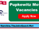 Pupkewitz Motors Vacancies