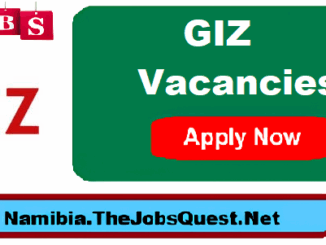 GIZ Vacancies