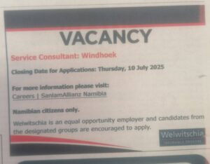 Welwitschia Insurance Brokers Vacancies