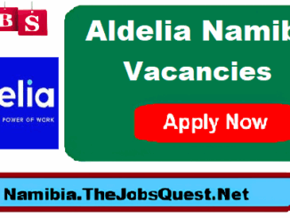 Aldelia Namibia Vacancies