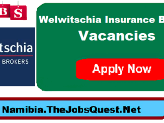 Welwitschia Insurance Brokers Vacancies