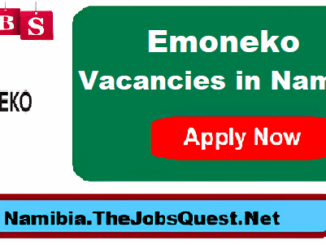 Emoneko Vacancies