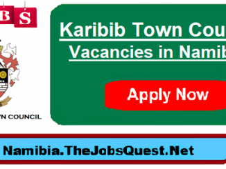 Karibib Town Council Vacancies