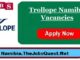 Trollope Namibia Vacancies